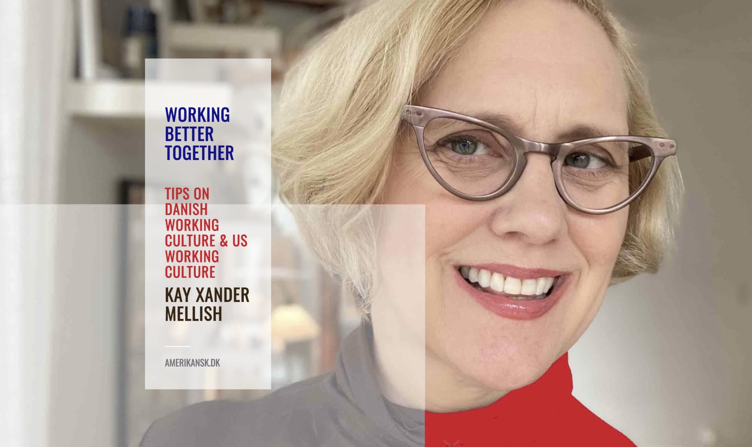 Kay Xander Mellish on US business culture vs Danish business culture